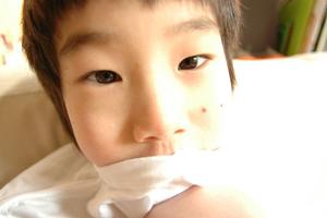 二級建築士過去問で合格をスムーズに